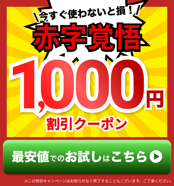 今すぐ使わないと損！期間限定！1000円割引クーポン！最安値でのお試しはこちら