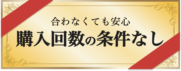 購入回数の条件なし